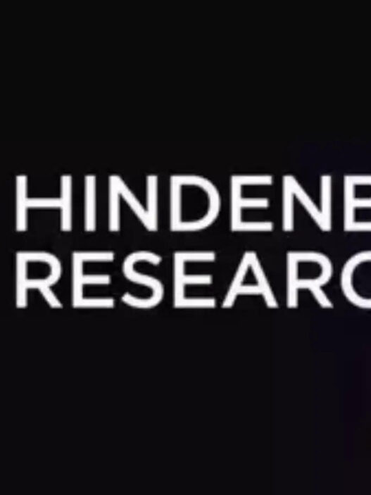 hindenburg research